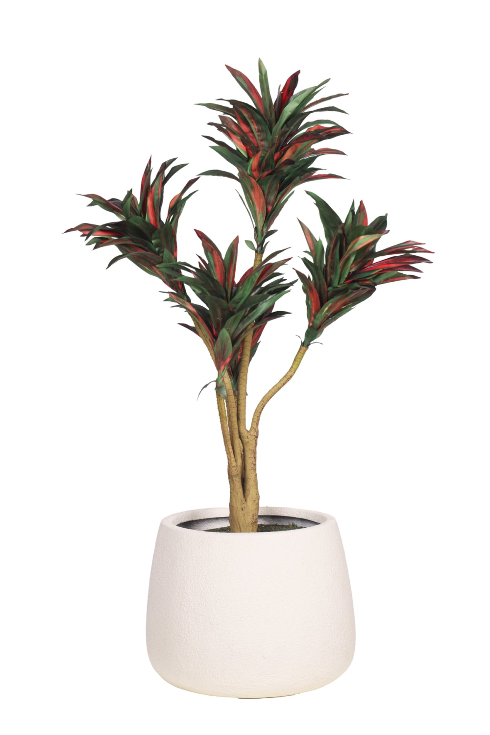 Pollination Attractive Artificial Dracaena Plant Without Pot - Image 6