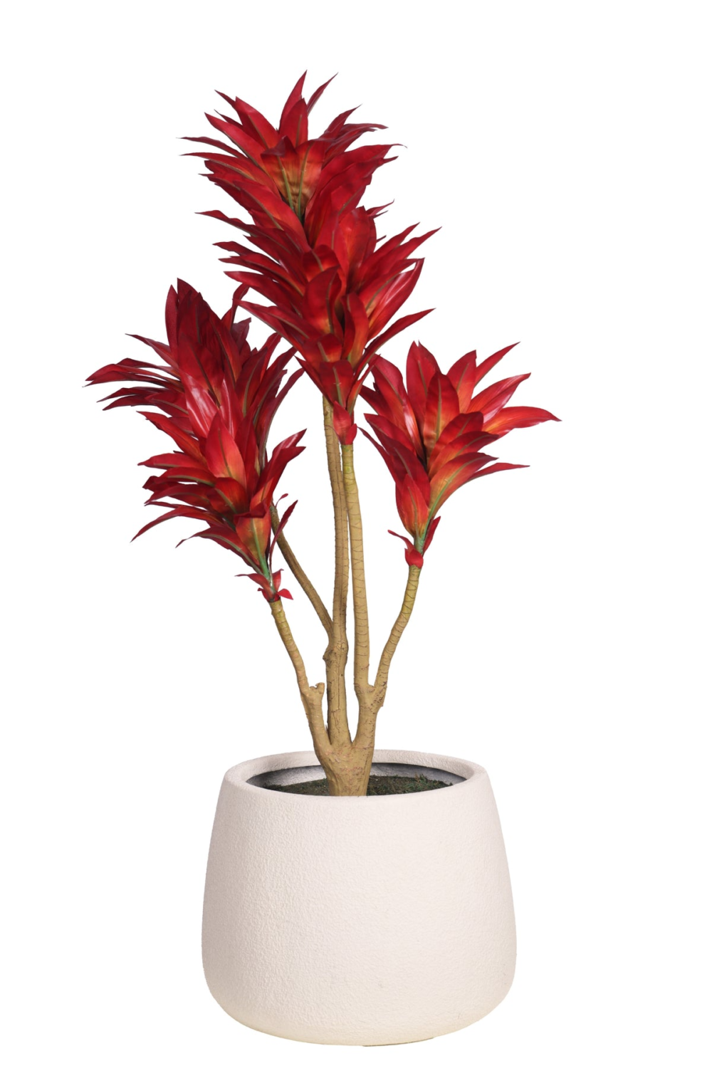 Pollination Attractive Artificial Dracaena Plant Without Pot - Image 4