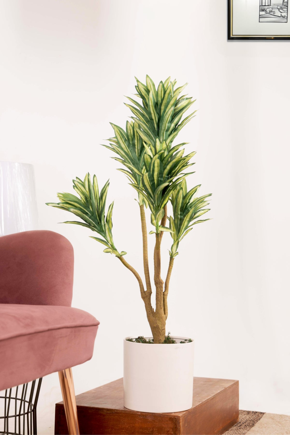 Pollination Attractive Artificial Dracaena Plant Without Pot - Image 7
