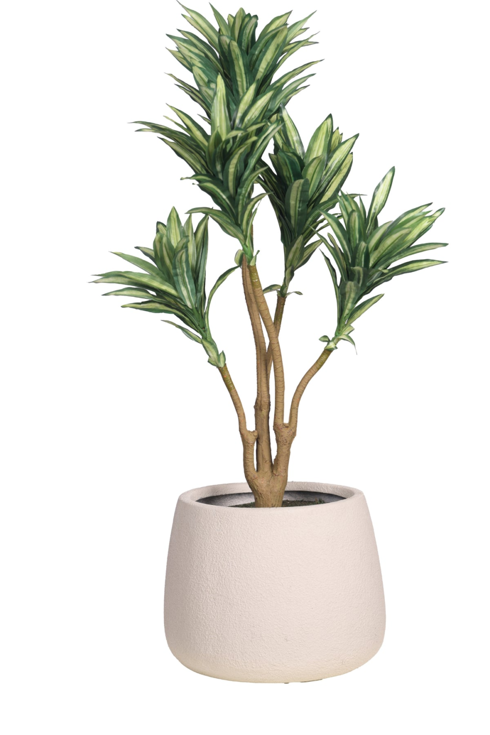 Pollination Attractive Artificial Dracaena Plant Without Pot - Image 8