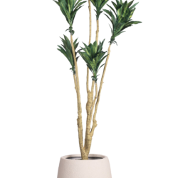 Pollination Attractive Artificial Dracaena Plant without Pot - Image 6