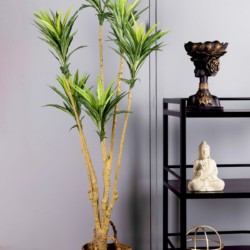 Pollination Attractive Artificial Dracaena Plant without Pot