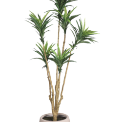 Pollination Attractive Artificial Dracaena Plant without Pot - Image 3