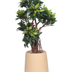 Pollination Classy Artificial Ficus Tree Bonsai Plant Without Pot ( Pack of 1 ) - Image 4