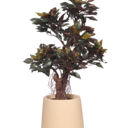 Pollination Classy Artificial Ficus Tree Bonsai Plant Without Pot ( Pack of 1 ) - Image 6