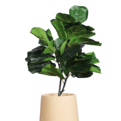 Pollination artificial Medium Fiddle Leaf Plant Without Pot (2 FT, 30 Leaves) - Image 2