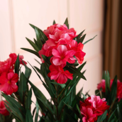 Pollination Artificial Oleanpink Plants For Home Decoration ( Pack Of 1 ) Pink - Image 3