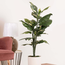 Pollination artificial Pothos Philo Plant - 3 FT