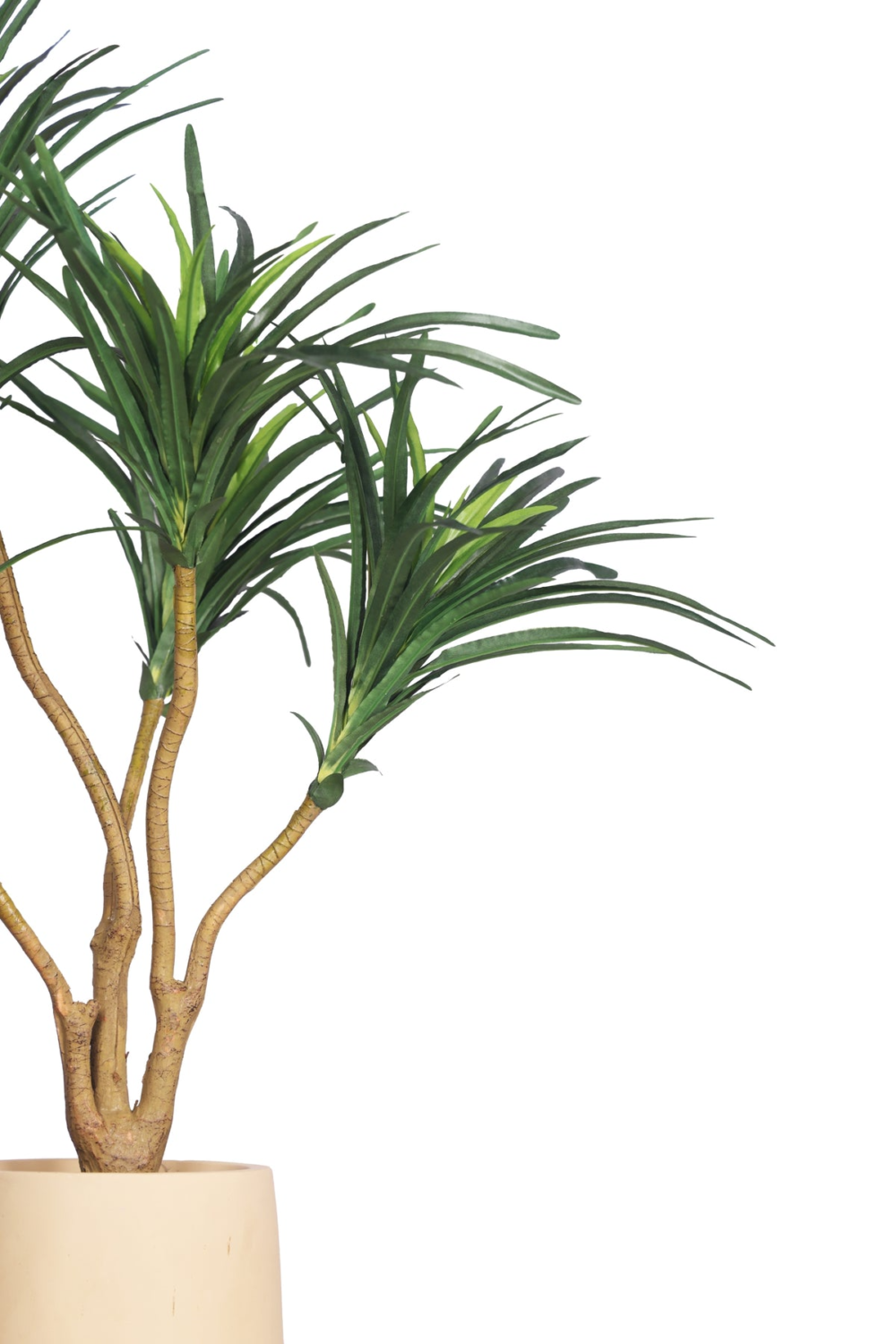 Artificial Yucca Plant Without Pot (Pack of 1) Green - Image 6