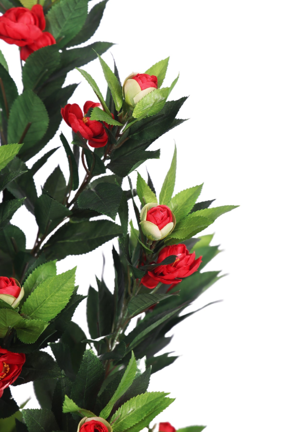 Pollination Ravishing Camelia Rose Plant With Pot For Home Decoration ( Pack Of 1, 78cm ) - Image 2