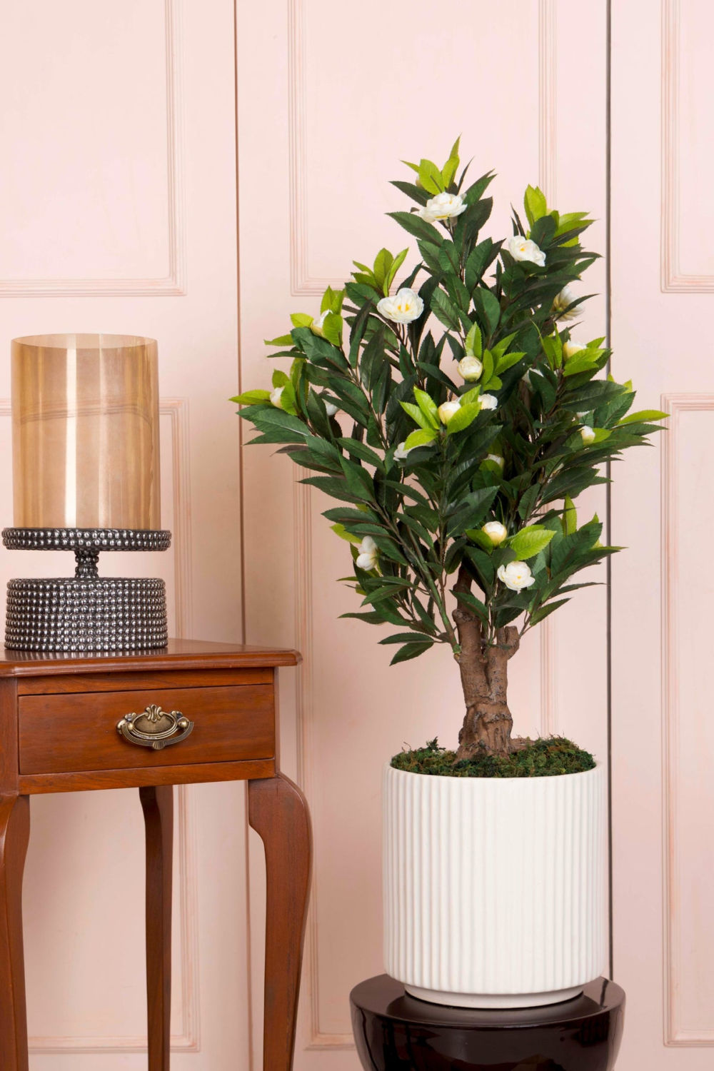 Pollination Ravishing Camelia Rose Plant With Pot For Home Decoration ( Pack Of 1, 78cm ) - Image 6