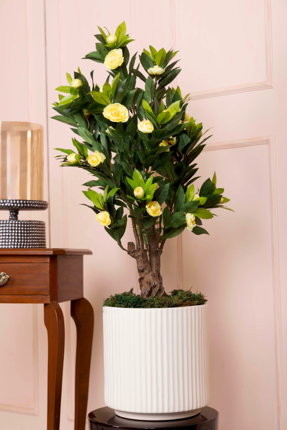 Pollination Ravishing Camelia Rose Plant With Pot For Home Decoration ( Pack Of 1, 78cm ) - Image 8