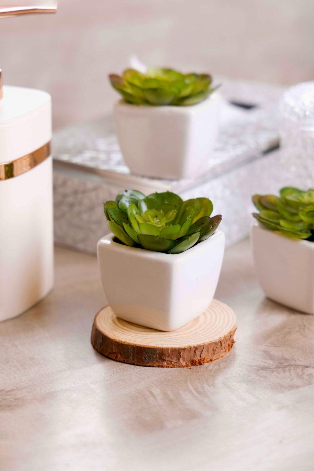 Pollination Artificial Succulent Bonsai With Ceramic Pot Set Of 2